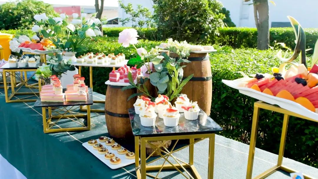 LHDZ-DW履帶式搬運小坦克