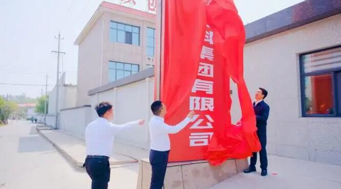 氣浮搬運平臺定制款